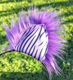 Amethyst Zebra Kittycorn Ears